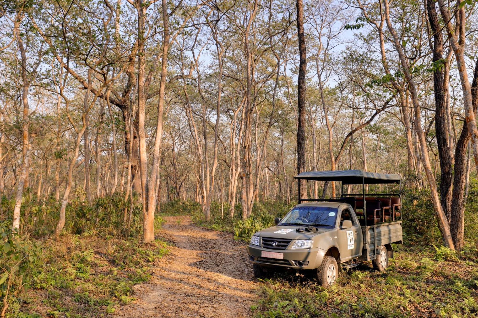 Tigerland Safari - A Lemon Tree Resort, Chitwan, Nepal Patlahara Ngoại thất bức ảnh