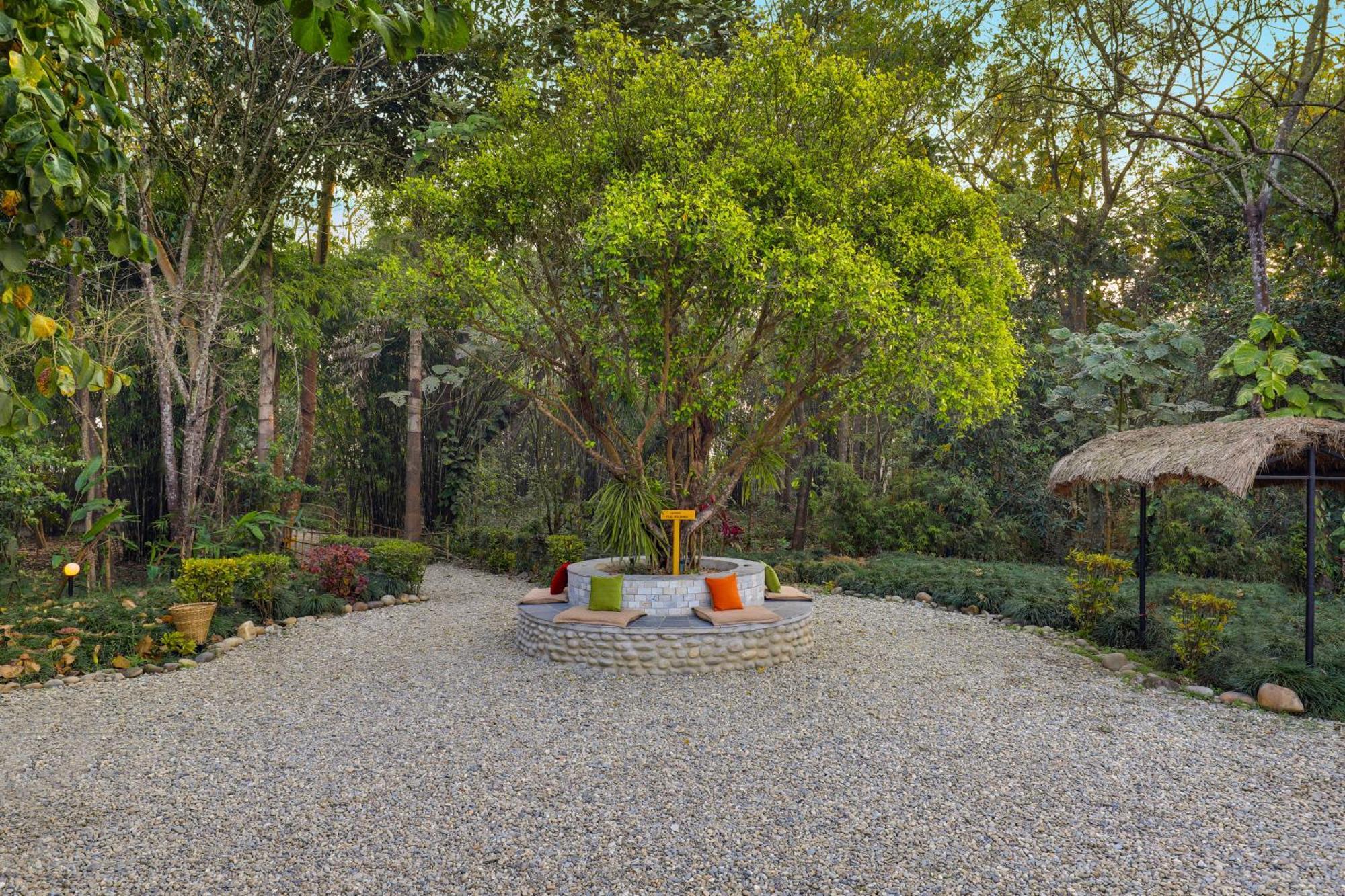 Tigerland Safari - A Lemon Tree Resort, Chitwan, Nepal Patlahara Ngoại thất bức ảnh