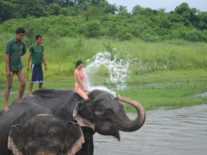 Tigerland Safari - A Lemon Tree Resort, Chitwan, Nepal Patlahara Ngoại thất bức ảnh